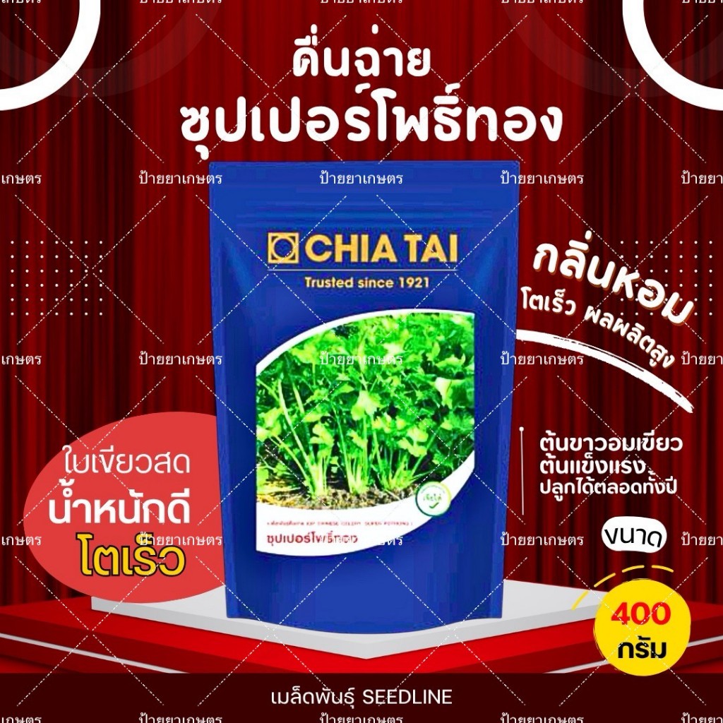 เมล็ดพันธุ์คื่นฉ่าย โอ๋ ซุปเปอร์โพธิ์ทอง ลูกโลกกวางเจา ตราเจียไต๋ ตราลูกโลก คื่นฉ่าย โอ๋แบ่งขาย