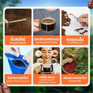 ULKA Coffee Beans (Robusta 100%) กาแฟเมล็ดคั่วสด รสชาติเข้มข้น Medium Dark 2kg/5kg/10kg/20kg สำหรับร้านกาแฟและชงที่บ้าน