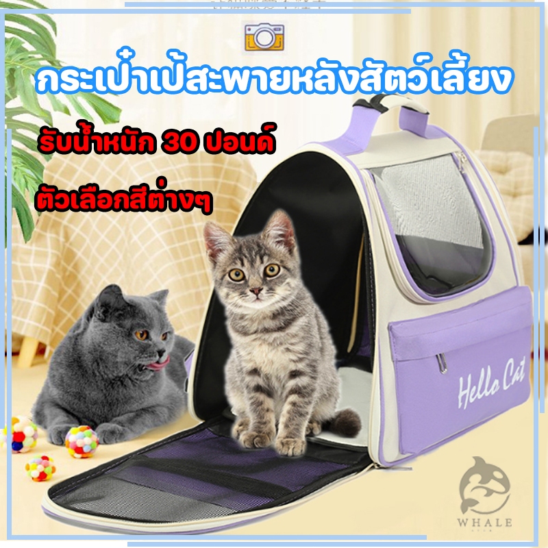 Pet Bag🐱กระเป๋าแมว เป้สัตว์เลี้ยง ใบใหญ่มาก พับเก็บได้ ระบายอากาศได้ หน้าต่างกันสาด กระเป๋าสีขอบด้านข้าง