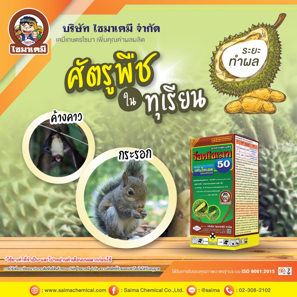 ร็อคไซเมท ( เฟนโทเอต )( 1 ลิตร ) ชนิดดูดซึม ใช้ป้องกันกำจัดแมลง หนอน เพลี้ยจั๊กจั่น มีกลิ่นแรง