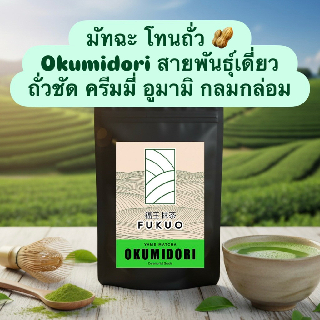 OKUMIDORI มัทฉะ สายพันธุ์เดี่ยว โทนถั่ว จากญี่ปุ่น‼️ FUKUO Single Cultivar โทนถั่ว Yame Matcha มัทฉะ