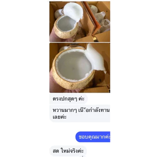 มะพร้าวเผา10ลูก มะพร้าวน้ำหอมเผาเนื้อนิ่ม