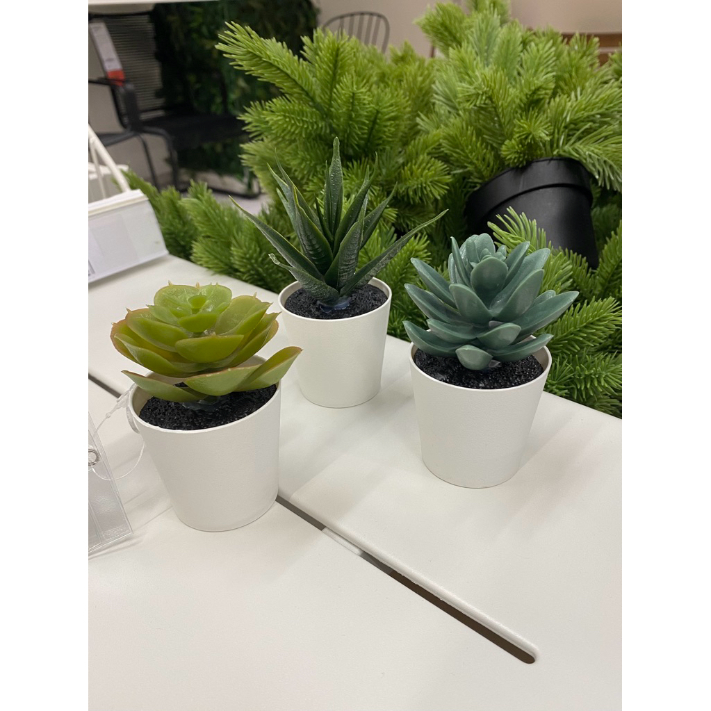 IKEA ไม้ประดิษฐ์ในกระถาง  FEJKA ต้น Succulent, 6 ซม.แพ็ค 3 ชิ้น ต้นไม้ปลอม ต้นไม้ประดับห้อง ไม้ปลอมแต่งห้อง
