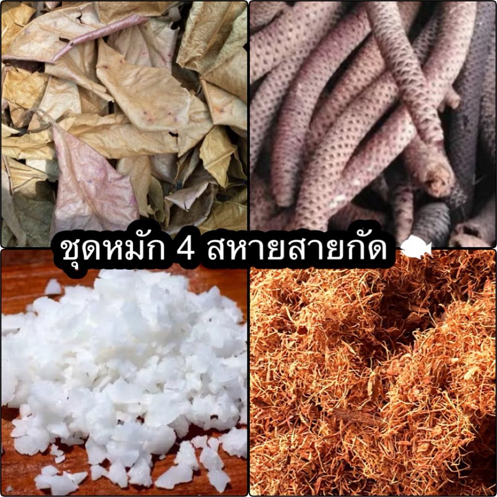ชุดหมักปลากัดเก่ง4สหาย(สีเสียด+งวงตาล+ใบหูกวาง+เกลือสมุทร) สำหรับสายกัด100%