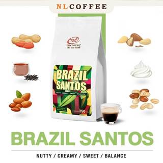 NLCOFFEE SPECIALTY เมล็ดกาแฟ Brazil-Santos