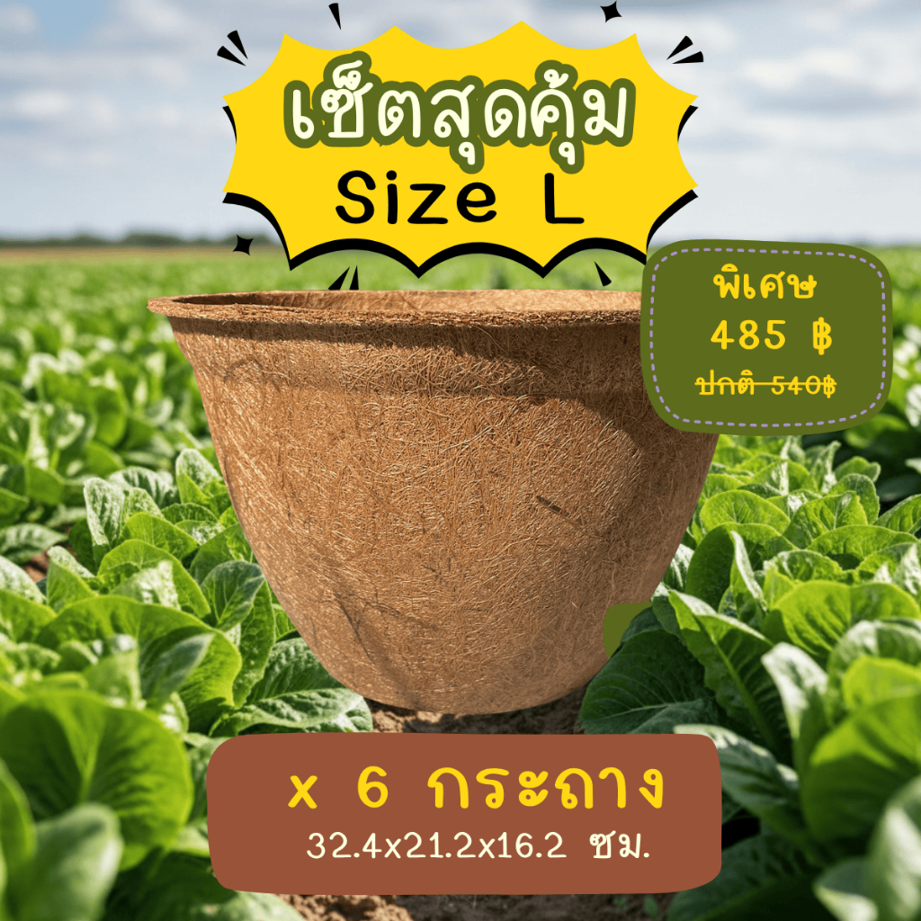 เซ็ตสุดคุ้ม 6 ชิ้น - กระถาง ใยมะพร้าว ขนาดใหญ่ เป็นมิตรต่อสิ่งแวดล้อม [Natural Coconut Pot]