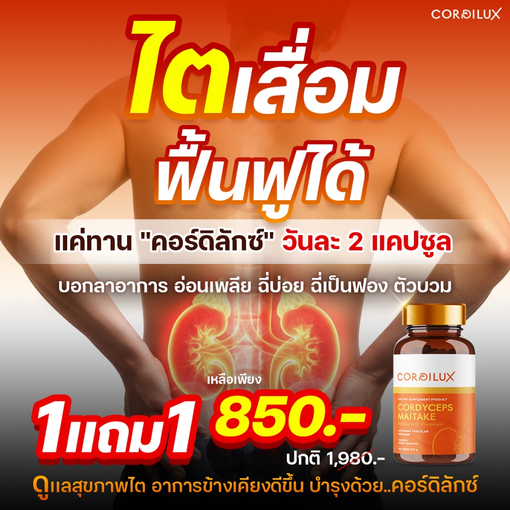 อาหารเสริมไต 🔥ของแท้ 💯! สุขภาพไต ระบบหัวใจและหลอดเลือด