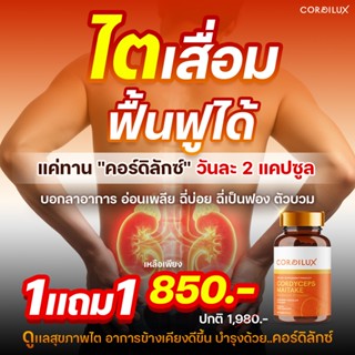 อาหารเสริมไต 🔥ของแท้ 💯! สุขภาพไต ระบบหัวใจและหลอดเลือด