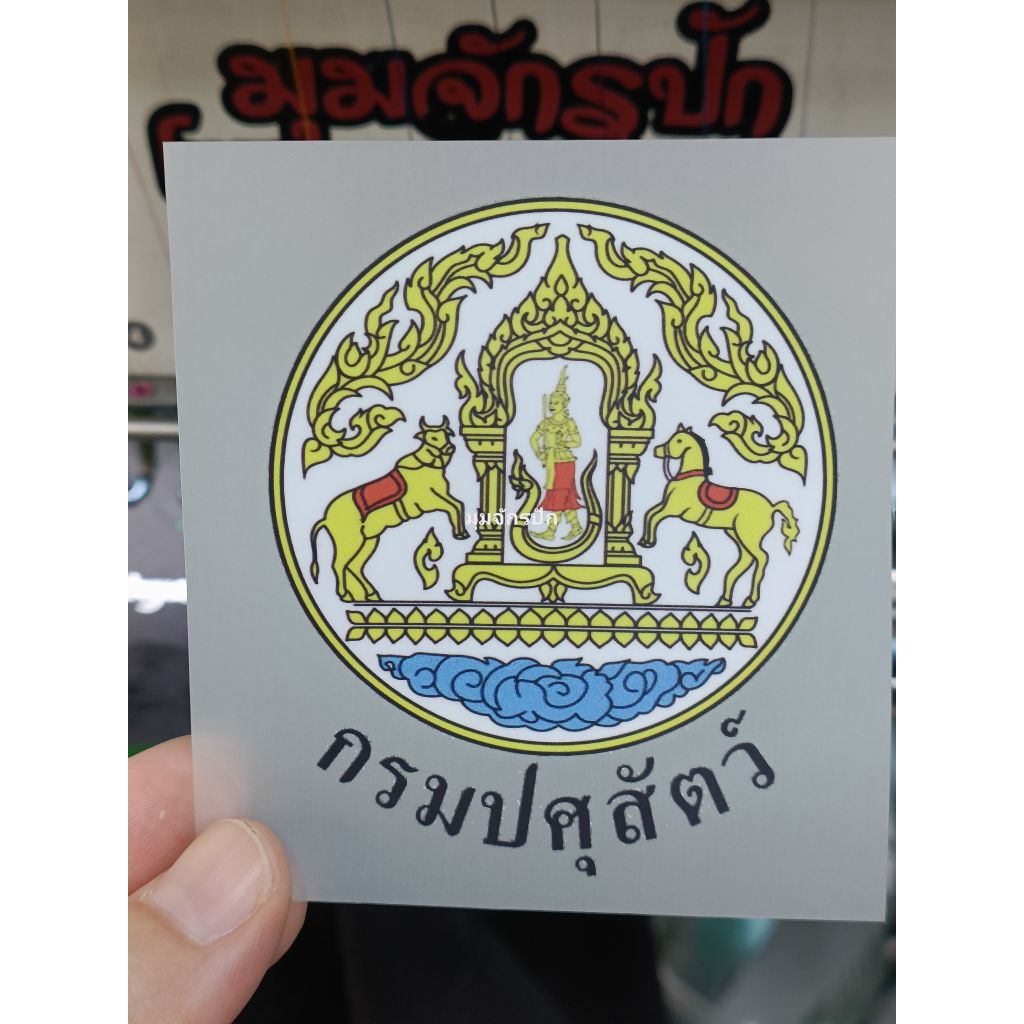 แผ่นรีด DFT กรมปศุสัตว์ ขนาดหน้าอก