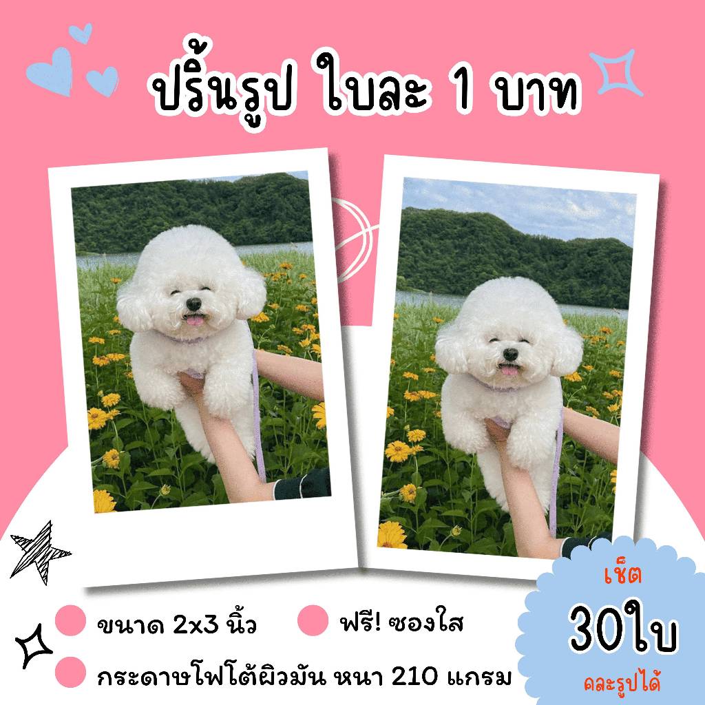 •.★*ปริ้นรูปขนาด 2x3 นิ้ว ใส่ซองใสฟรี จำนวน 30 ใบ คละรูปได้ *★.•
