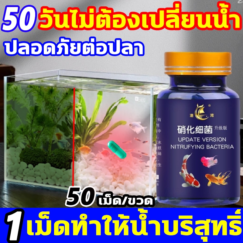 1เม็ดรักษาความใสของน้ำ จุลินทรีบ่อปลา 50เม็ด/ขวด น้ำยาปรับสภาพน้ำ เสริมสร้างระบบนิเวศของตู้ปลา จุลินทรีย์ ดูแลสุขภาพปลา