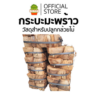 กะบะกาบมะพร้าว ช่วยให้รากอากาศมีที่ยึดเกาะ ต้นไม้เจริญเติบโต…