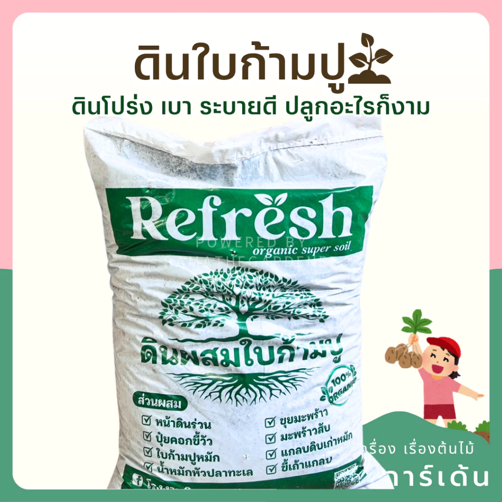 ดินใบก้ามปู เนื้อดินเยอะ ผสมใบก้ามปู มีทั้งถุงและแบ่งขาย