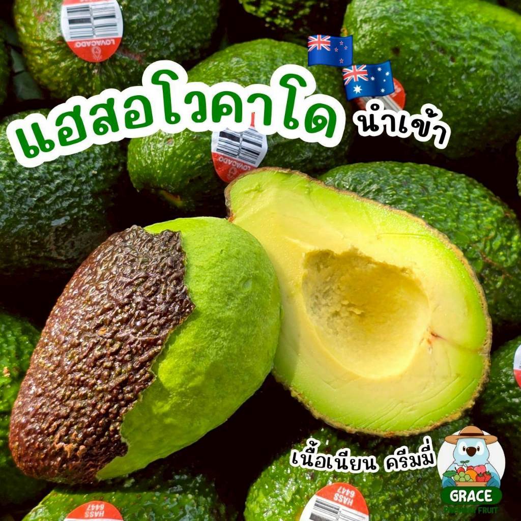 Hass Avocado 🥑🥑 แฮสอโวคาโด เนื้อละมุน ครีมมี่ๆ นำเข้าจากอเมริกา/ออสเตรเลีย 🇺🇲