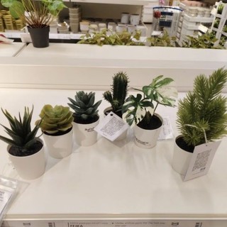IKEA,แท้,ต้นไม้ประดิษฐ์อิเกีย,ดอกไม้ประดิษฐ์อิเกีย อีเกีย Ik…