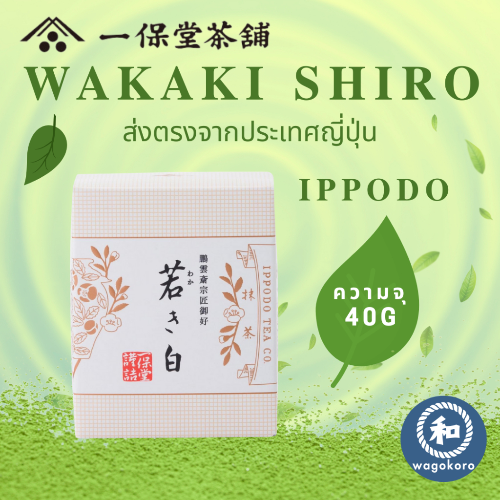 มัทฉะ Matcha: Ippodo Tea WAKAKI SHIRO 30g Box | Japanese Tea Kyoto Powder【ส่งตรงจากญี่ปุ่น】