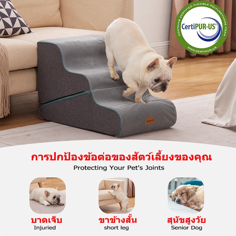 2-in-1 บันไดสัตว์เลี้ยงสามารถพับเก็บได้เป็นทางลาด ซักทําความสะอาดได้ สําหรับสัตว์เลี้ยง สุนัข แมว - รูปที่ 2