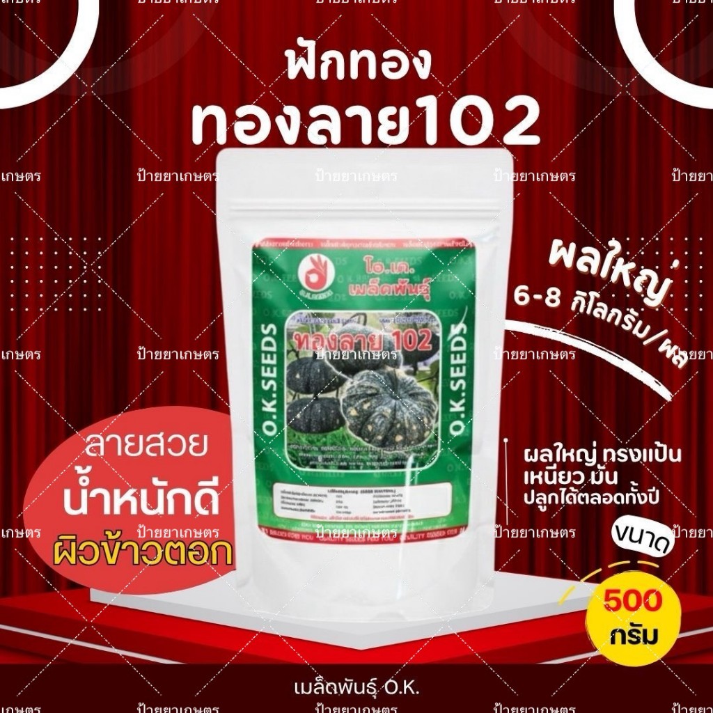 ฟักทองลูกผสม ทองลาย 102 ลายข้าวตอก ขนาด100กรัม ตราโอเคซี๊ด ลูกใหญ่ น้ำหนักดี