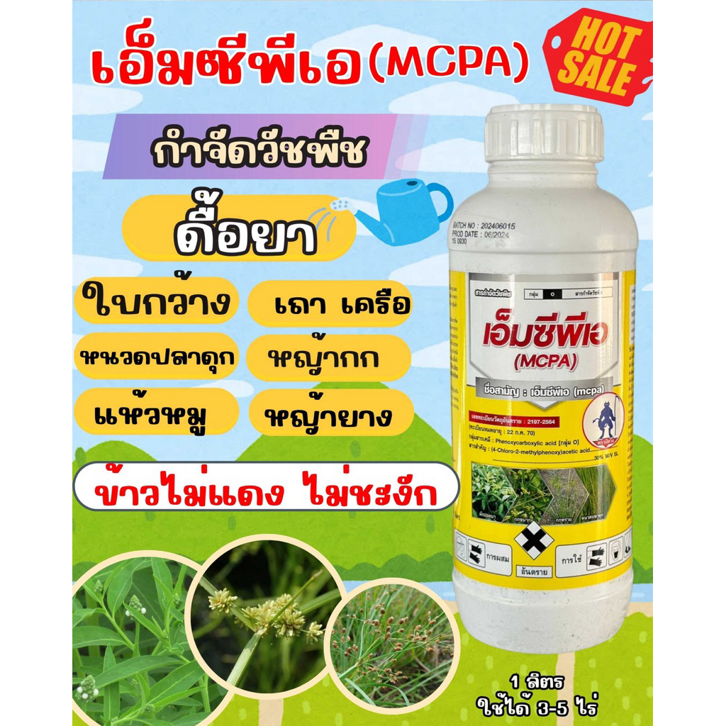 (รักษ์เกษตร)📍 เอ็มซีพีเอ ☘️ กำจัดเถา เครือ หนวดปลาดุก ผักบุ้ง โสน แห้วหมู ไม่แดง 💯ดื้อยาต้องลอง ขนาด 1 ลิตร