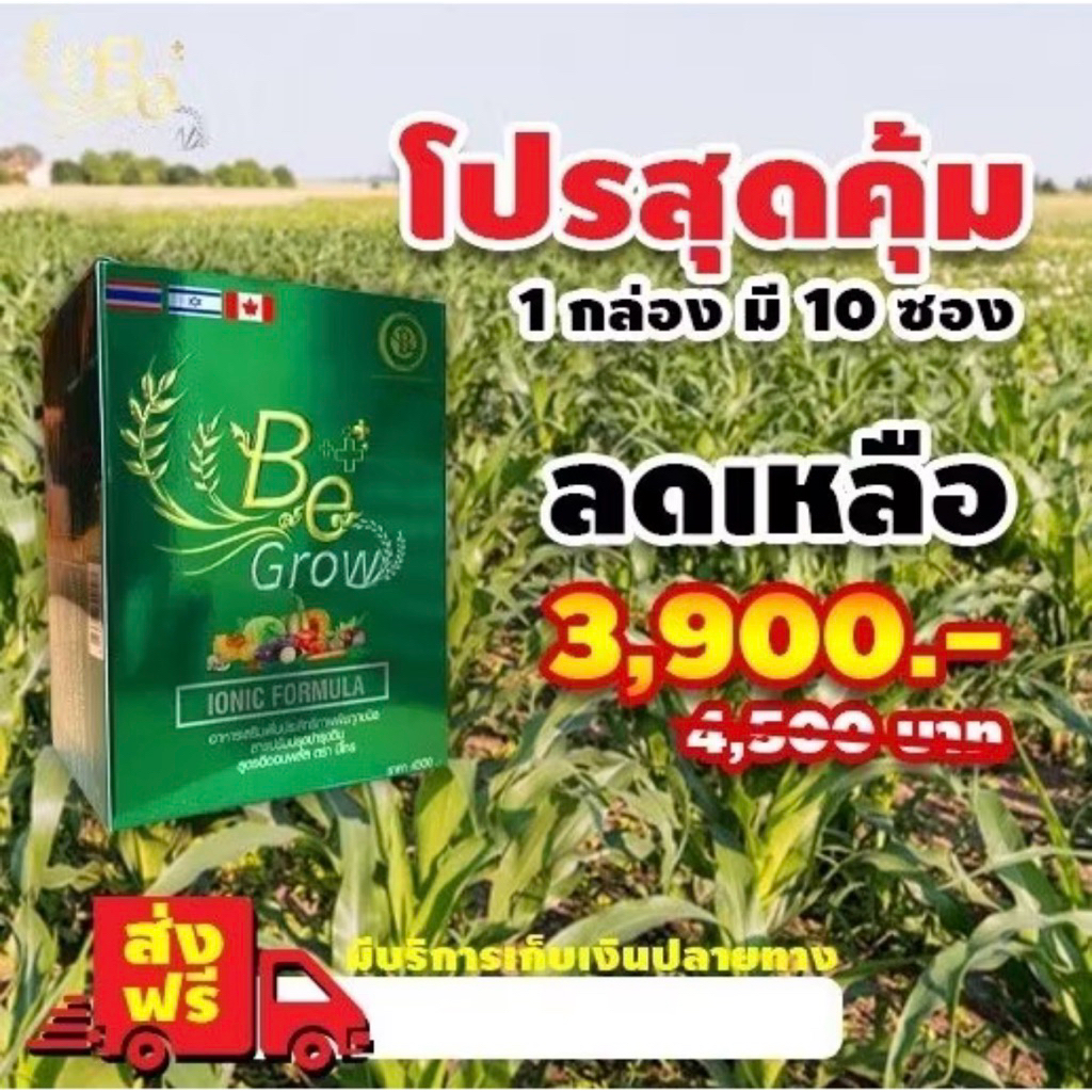 บีโกร Be Grow ปุ๋ยชีวภาพ อาหารเสริมพืช สารเพิ่มประสิทธิภาพ พืช 1 กล่อง 10ชอง Kaideeshop888 ของแท้100