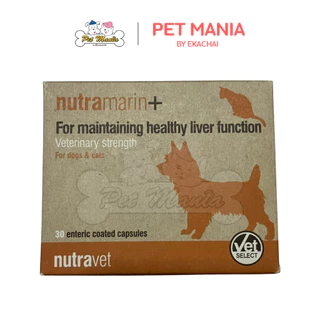 Nutramarin+ For Maintaining Healthy Liver Function ดูแลโรคตับ สำหรับสุนัขและแมว 30แคปซูล เลขทะเบียนอาหารสัตว์ 0208670070
