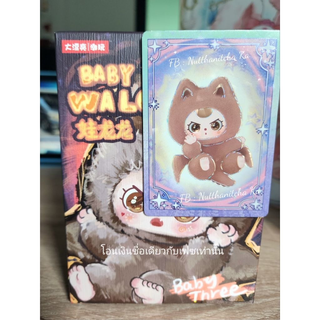 Babythree น้องมังกรน้ำตาลเข้มแบบเช็คการ์ด