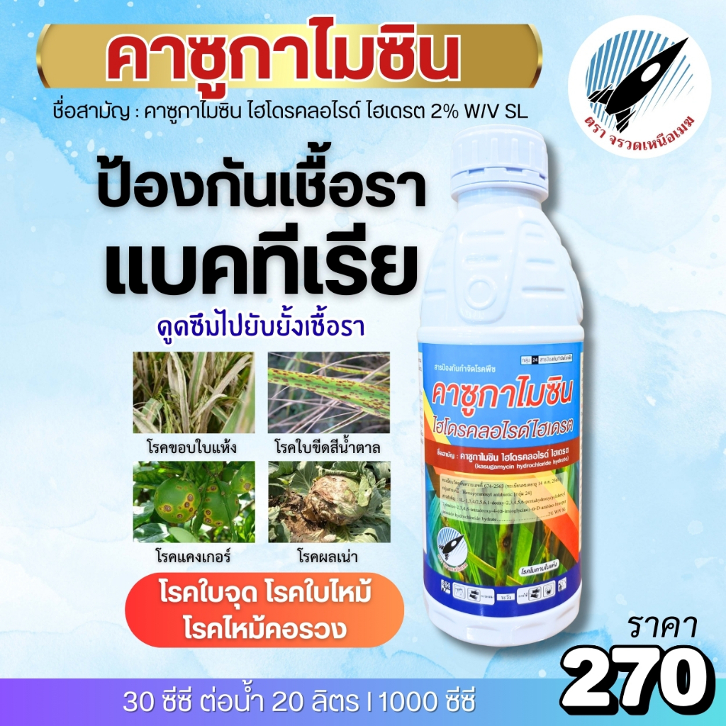 คาซูกาไมซิน (2%) ป้องกันและยับยั้ง เชื้อรา-แบคทีเรีย โรคใบไหม้ ขอบใบแห้ง ใบติด แคงเกอร์ ใบจุด โรคเน่า กาบใบแห้ง : 1 ลิตร