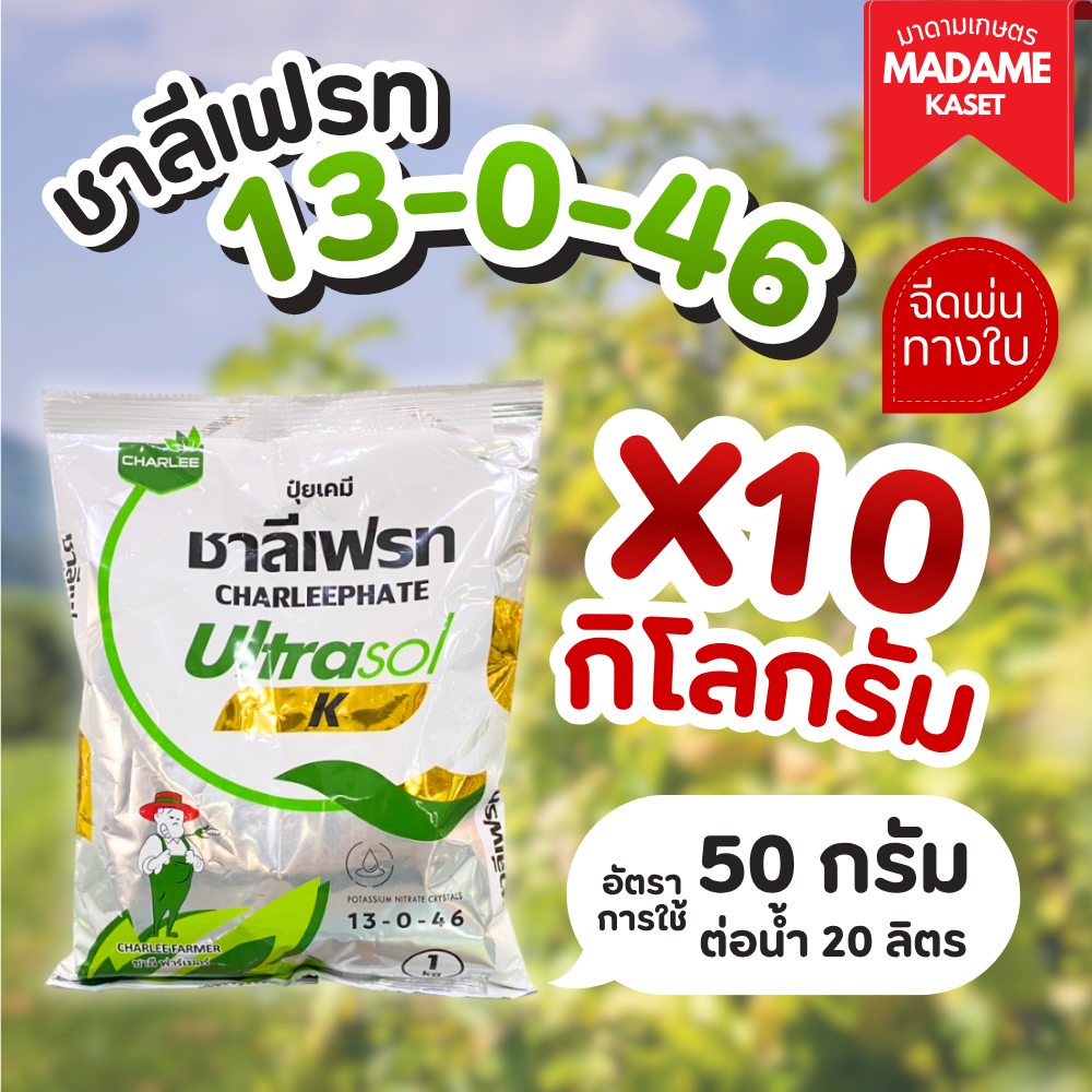 ยกแพ็คx10กิโลกรัม | ปุ๋ยเกล็ด ชาลีเฟรท 13-0-46 สำหรับฉีดพ่นทางใบ