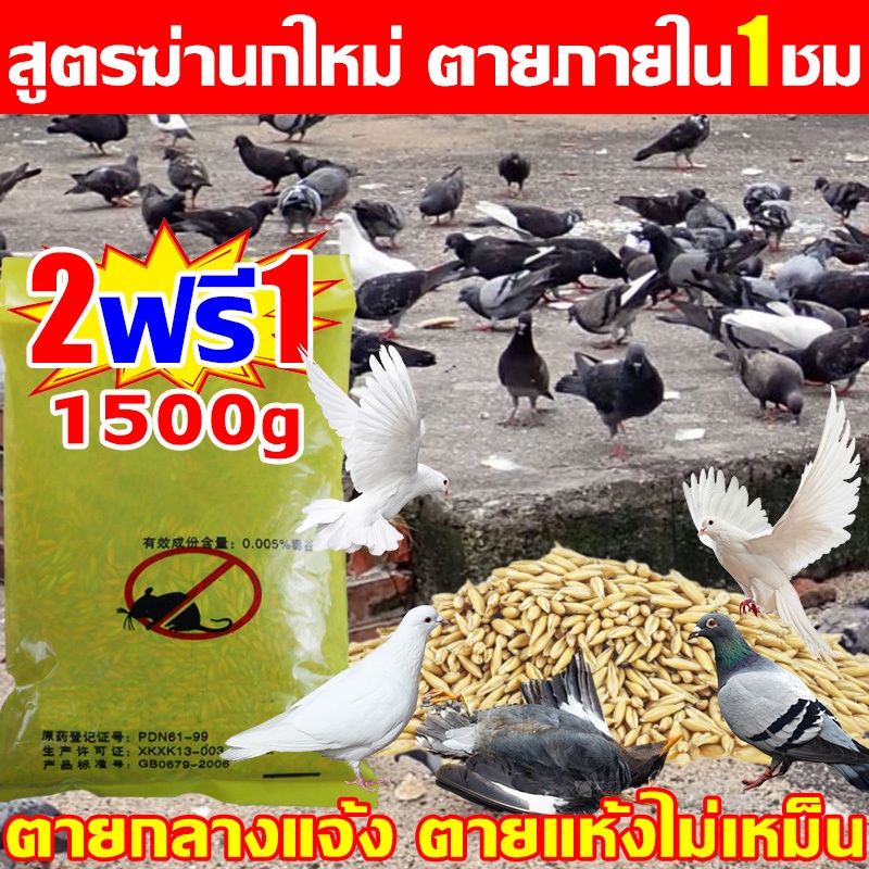 กำจัดพิราบและนกทุกชนิด ยาฆ่านกพิราบ500g ยากำจัดนกพิราบ ทำลายอวัยวะภายในตายใน 1วัน แห้งเร็วและไม่มีกลิ่น ยาเบื่อ นกพิราบ
