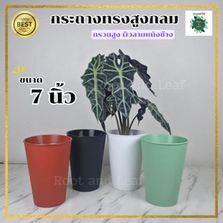 กระถางทรงสูงกลม กรวยสูง ลายหนังช้าง ขนาด 7 นิ้ว กระถางมินิมอ…