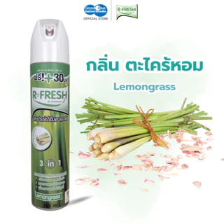 R-FRESH อาร์-เฟรช สเปรย์ปรับอากาศ 280 มล. ลดกลิ่นอับ เพิ่มความสดชื่นได้ทุกที่ 1 กระป๋อง
