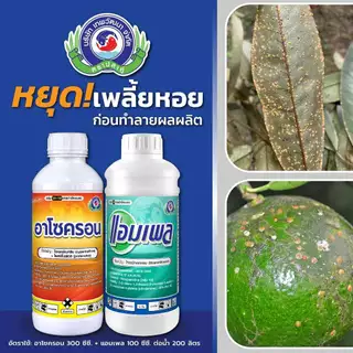 อาโซครอน 1 ลิตร (ไซเพอร์เมทริน+โพรฟีโนฟอส) กำจัด หนอนเจาะดอก หนอนชอนใบ แมลงค่อมทอง ด้วงกุหลาบ เพลี้ยไก่แจ้ เพลี้ยอ่อน