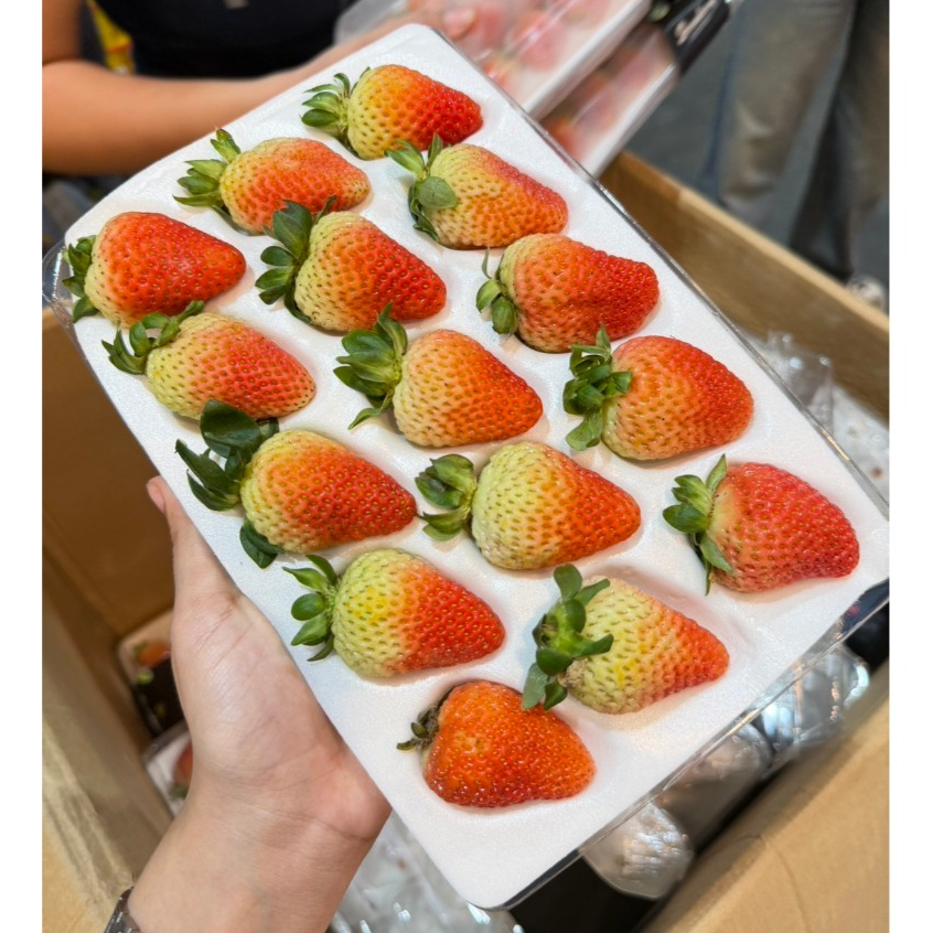 สตรอเบอรี่สด สตรอเบอรี่จีน ลูกใหญ่ เปรี้ยว หวาน แพ็คละ 15ลูก