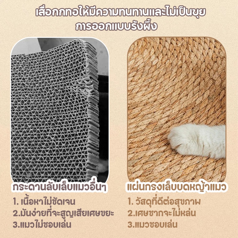 แผ่นลับเล็บแมว 3In1🌿มีหญ้าแมว ถักทอจากหวาย  พรมแมว ของเล่นแมว ที่นอนแมว กันข่วน วงกลมพรมลับเล็บแมว - รูปที่ 2