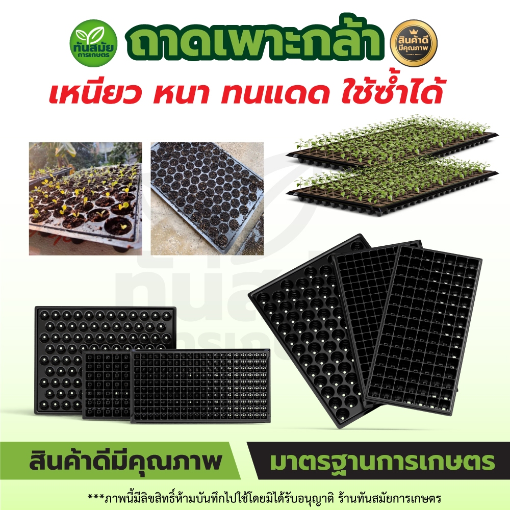 ถาดเพาะ ถาดเพาะกล้า เพาะต้นกล้า เพาะชำ มีแบบ105หลุมและ200หลุม เพาะพืชผักสวนครัวได้ ไม้ดอกไม้ประดับ