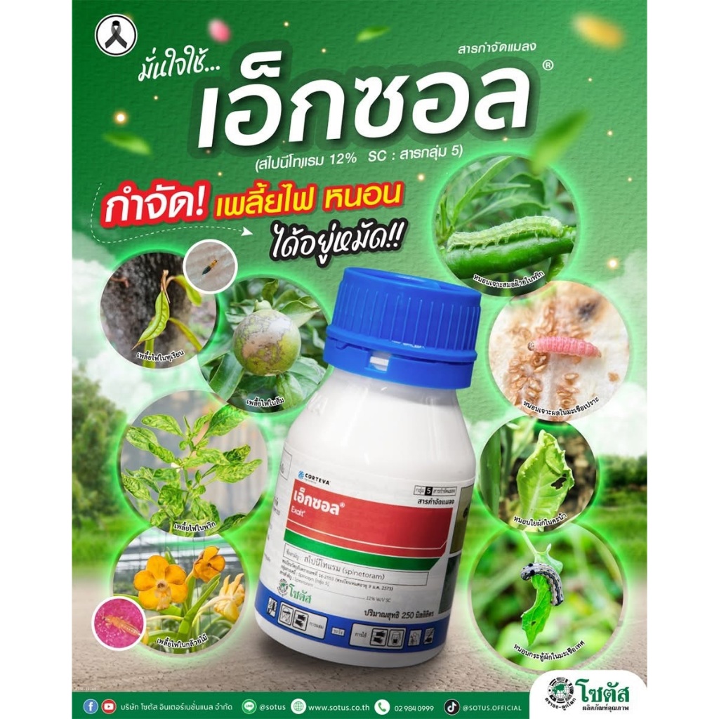 เอ็กซอล 250ซีซี สไปนีโทแรม กำจัดเพลี้ยไฟ หนอนเจาะ และแมลงได้มากชนิด