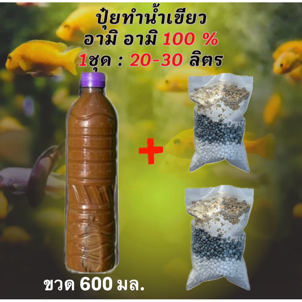 ชุดทำน้ำเขียว อามิอามิ ทำน้ำเขียว 40-60 ลิตร ไรแดงมาโครโคปา ไรแดงเทศ ไรแดงสยาม macrocopa น้ำเขียวเลี้ยงไรแดง น้ำเขียว