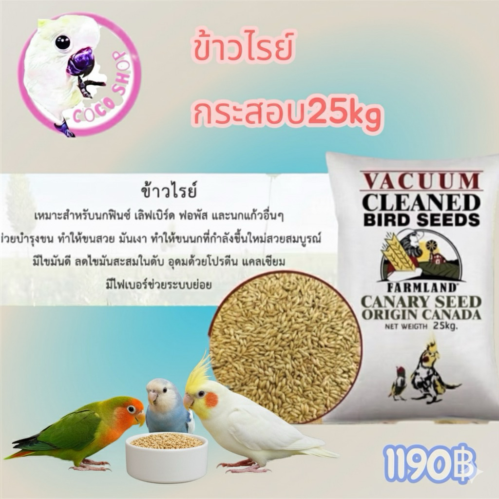 ข้าวไรย์ กระสอบ25kg ธัญพืชเสริมสำหรับนกขนาดเล็ก