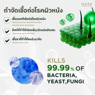 WOUND & SKIN SPRAY สเปรย์ดูแลผิวหนังและแผล สำหรับสัตว์เลี้ยง By HATO (HATO VETERINARY SELECT)