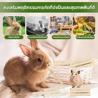 ไผ่หวาน Sweet Bamboo 500g ขนมลับฟัน ธรรมชาติ สำหรับ กระต่าย เม่นแคระ หนูแฮมเตอร์ และสัตว์ฟันแทะอื่น