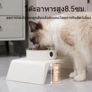 ชามแมว 2 หลุม จานข้าวแมว ชามสุนัข จานอาหารแมว สแตนเลสชามแมวคู่ 8.5cm ยกสูง ฐานกันลื่น