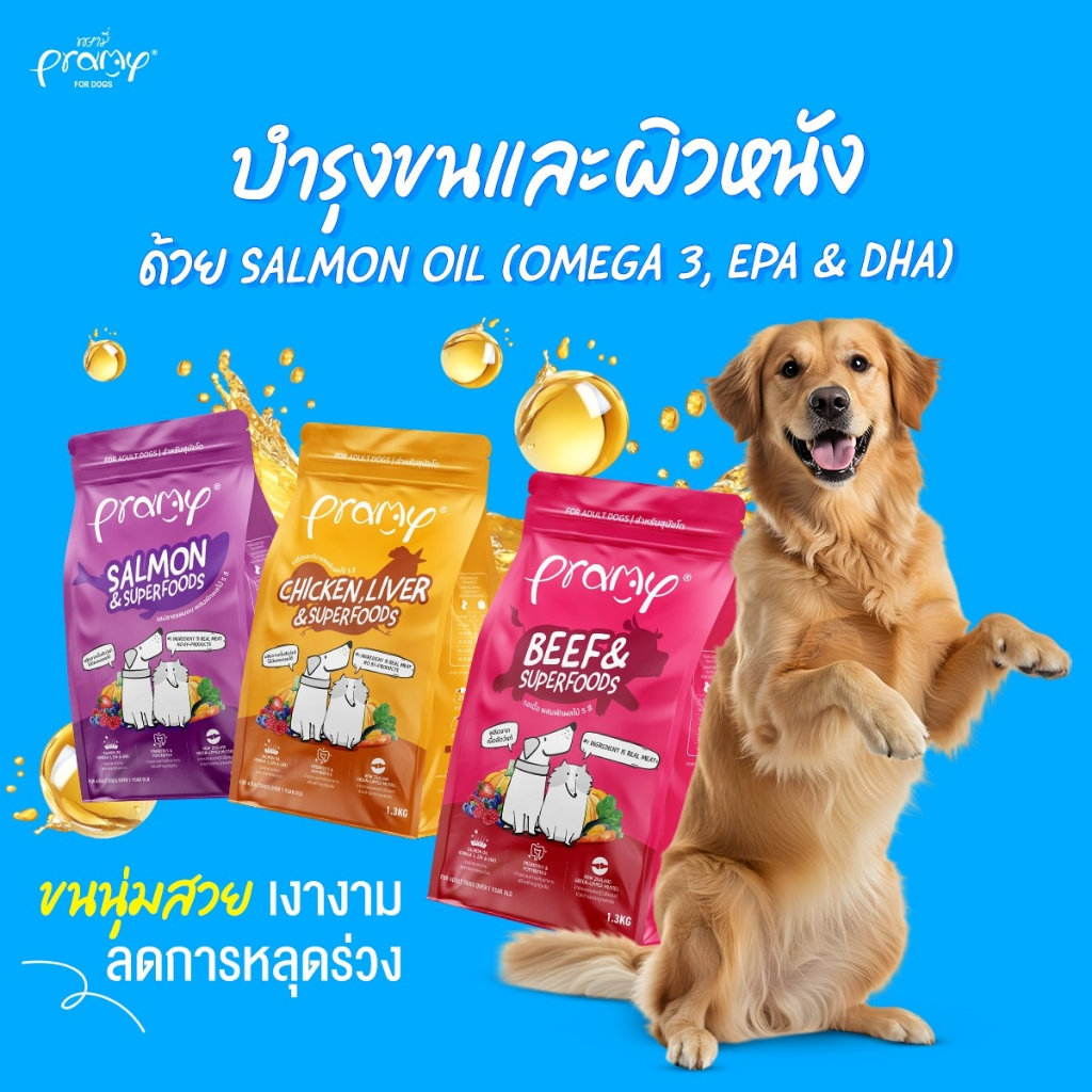 Pramy dog อาหารเม็ดสุนัขพรามี่ สูตรเน้นเนื้อแท้ โปรตีนสูง เสริมสร้างสุขภาพแบบรอบด้าน ขนาด 1kg - 1.3kg - รูปที่ 3