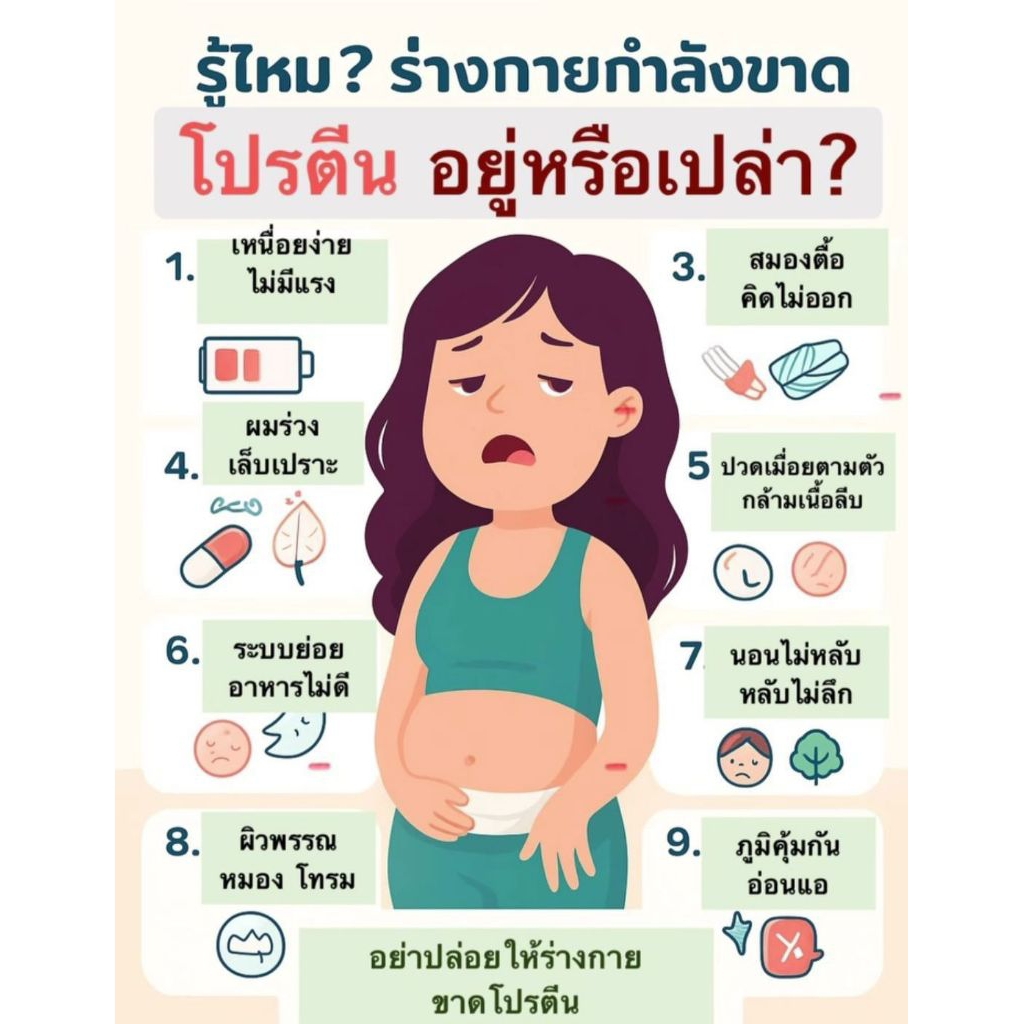 วีแกน มัลติแพลนท์ โปรตีน Vegan Protein Multiplani