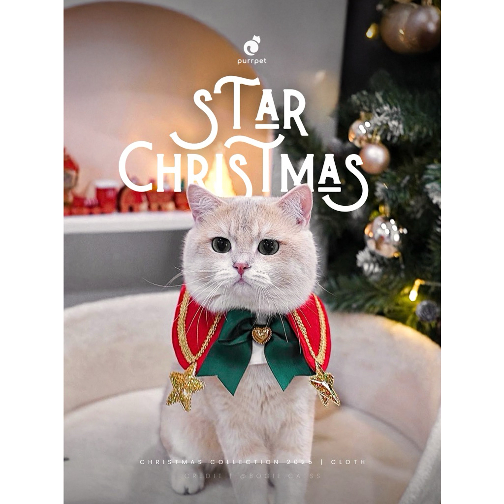 ชุดดาวคริสต์มาส - Christmas Collection Purrpet