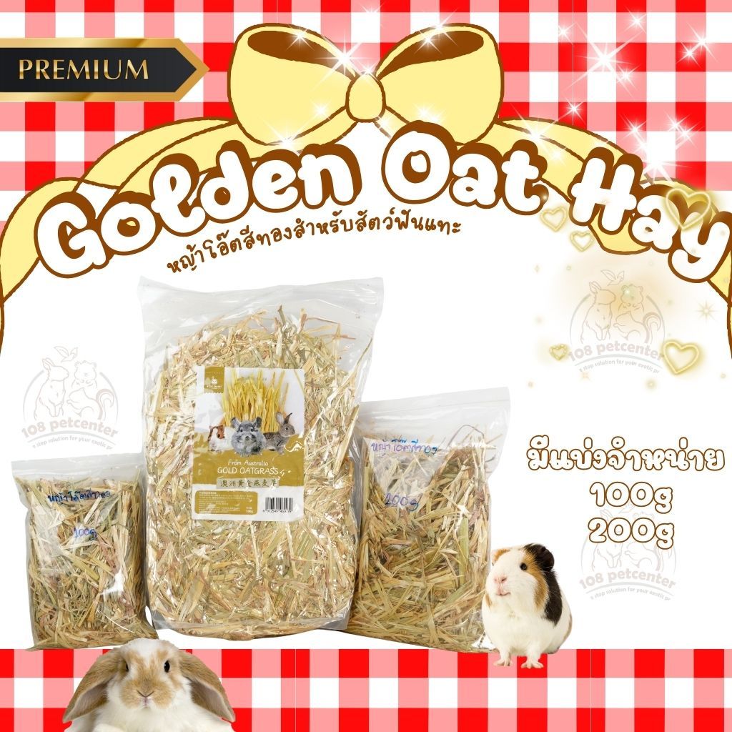 หญ้าโอ๊ตสีทอง Eco Forest Golden Oat Hay อาหารสำหรับ กระต่าย แกสบี้ ชินชิล่า หรือแพรี่ด็อก