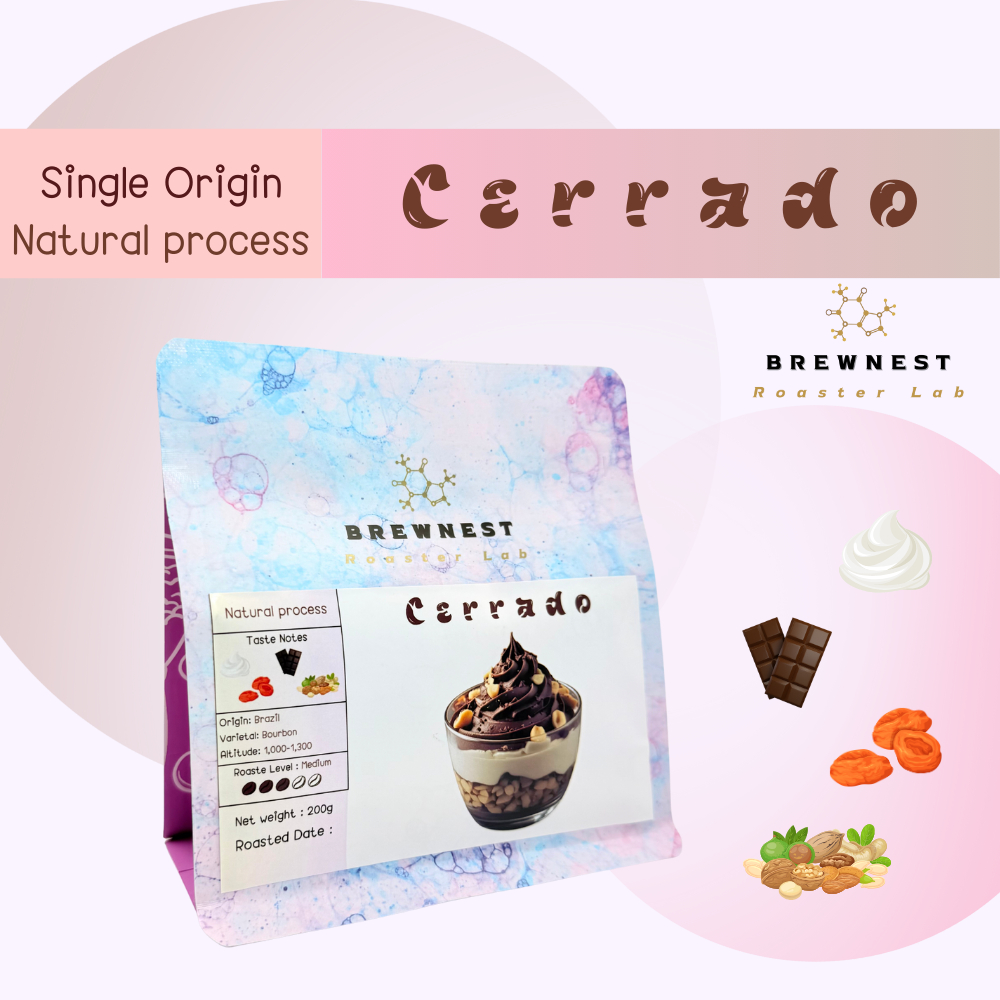 เมล็ดกาแฟคั่วกลาง - Brazil Cerrado (Medium) - Natural process - BREWNEST Roaster Lab
