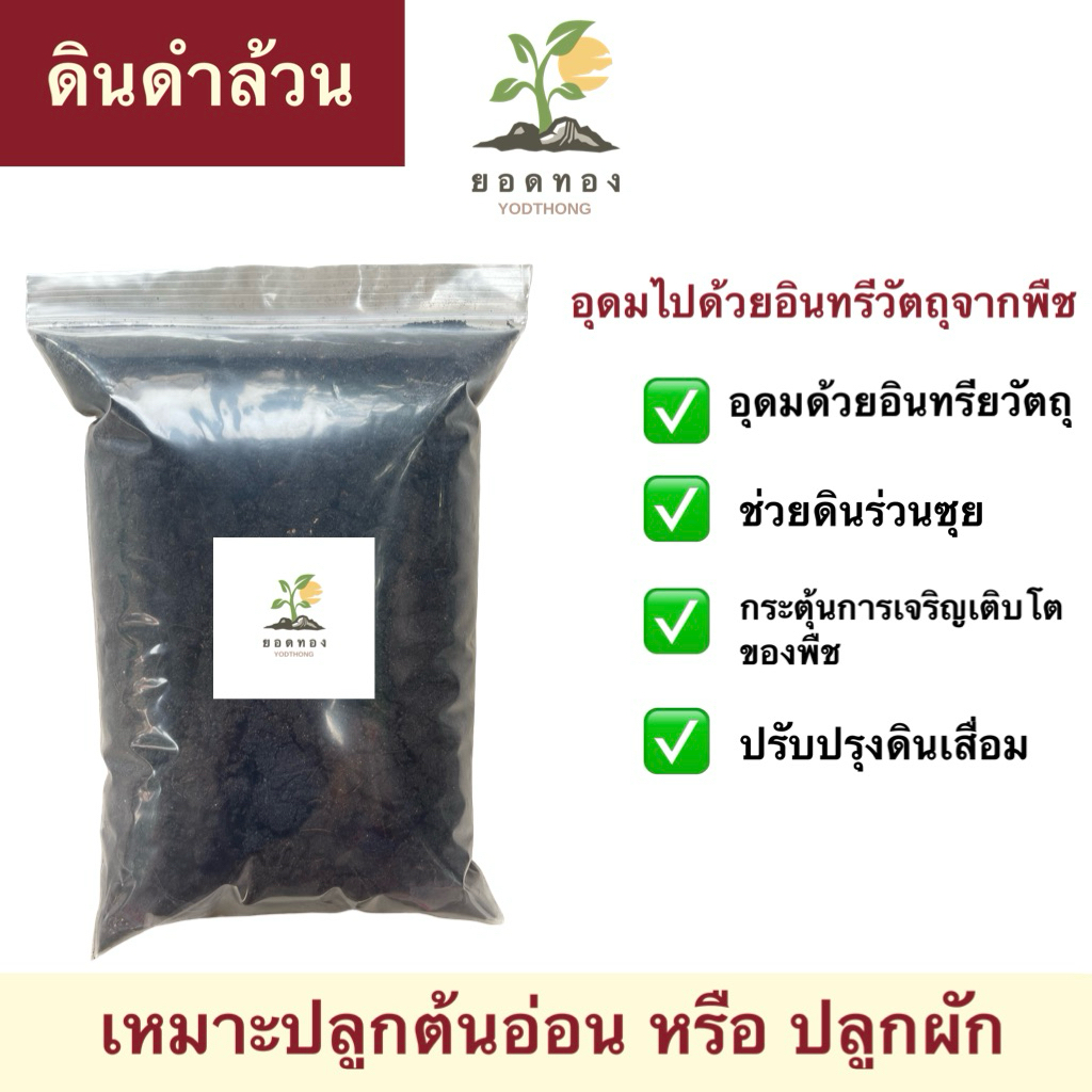 ส่งด่วน Yodthong ดินดำล้วน ไม่ผสม มีอินทรียวัตถุสูง