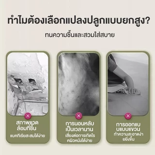 เตียงสัตว์เลี้ยง เตียงสุนัข เตียงสัตว์เลี้ยงขนาดใหญ่ ที่นอนแมว ระบายอากาศ รับน้ำหนัก 200KG