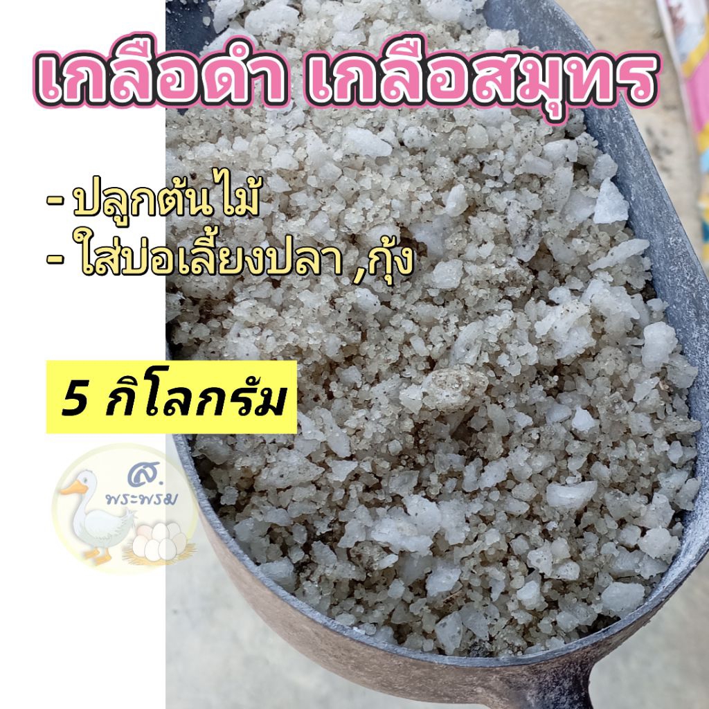 เกลือดำปลูกต้นไม้ เกลือสมุทรแท้ ใส่บ่อเลี้ยงปลา 5กก.