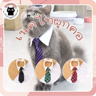 🌵 เนคไทสัตว์เลี้ยง ปลอกคอแมว ปลอกคอสุนัข สุนัข หมา แมวปลอกคอสัตว์เลี้ยง เนคไท ปรับสายได้🌵